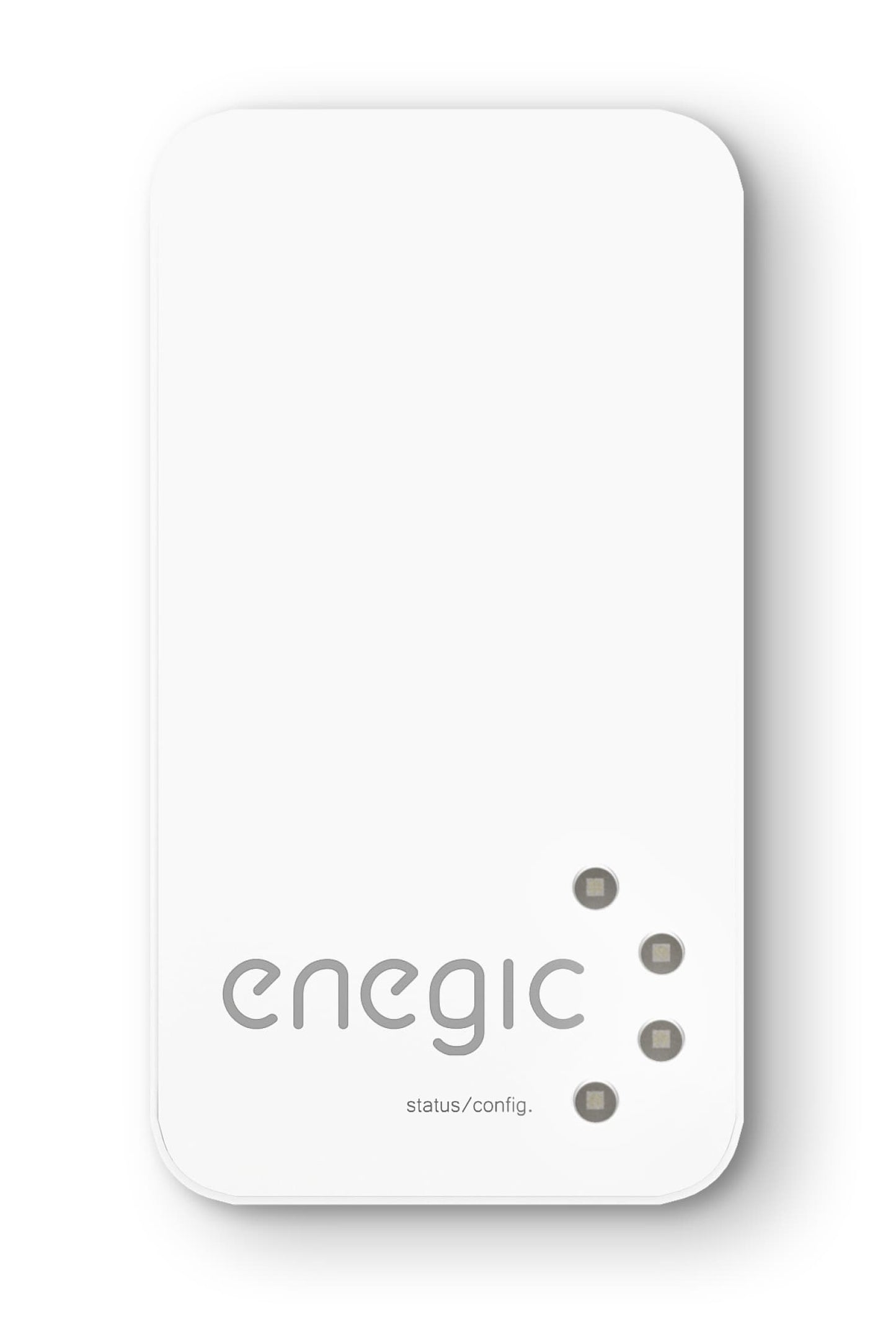 Charge Amps Enegic Monitor