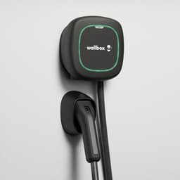 Wallbox Pulsar Max (22kW / 5 Meter / Type 2 / Black